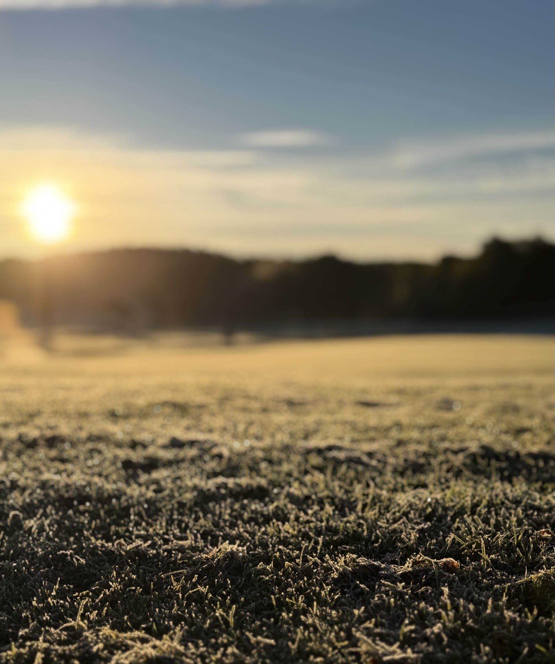 Frost